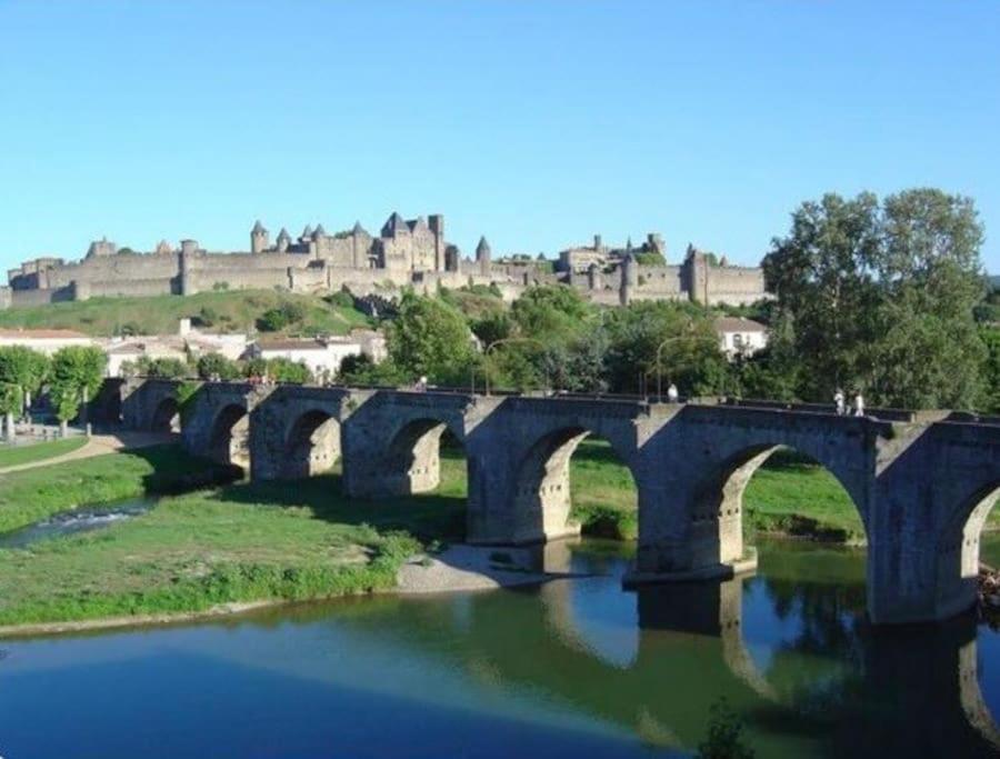 Dame Carcas Apartment Carcassone Exterior photo