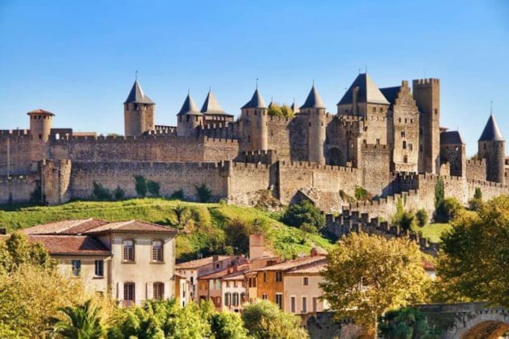 Dame Carcas Apartment Carcassone Exterior photo